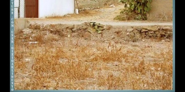 Qiziqarli foto savollar, mantiqiy rasmlar, suratli boshqotirmalar