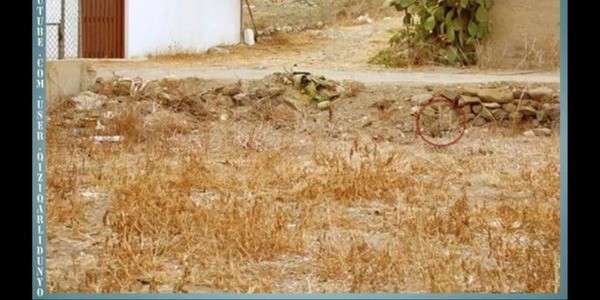 Qiziqarli foto savollar, mantiqiy rasmlar, suratli boshqotirmalar