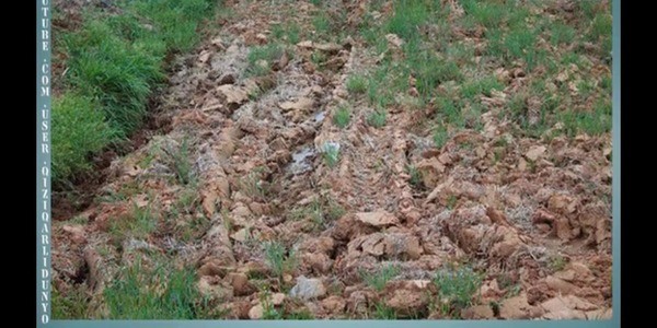 Qiziqarli foto savollar, mantiqiy rasmlar, suratli boshqotirmalar