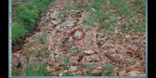Qiziqarli foto savollar, mantiqiy rasmlar, suratli boshqotirmalar
